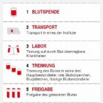 Ablauf einer Blutspende